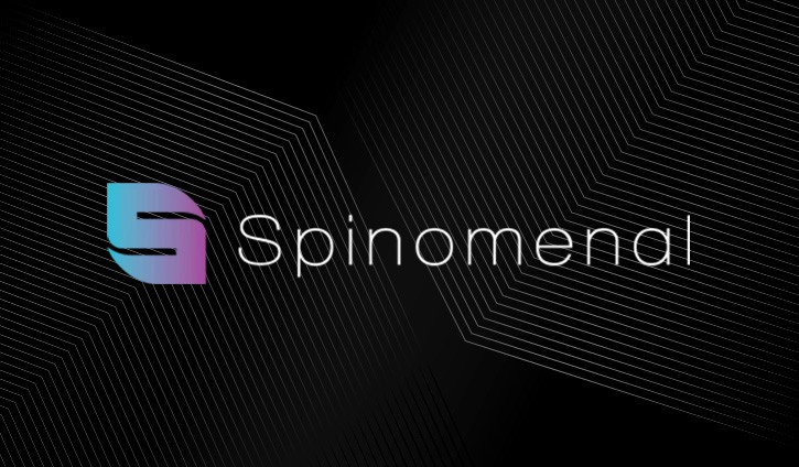Wild Easter Slot by Spinomenal Demo slot cover image