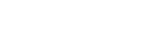 Logo of RioAce